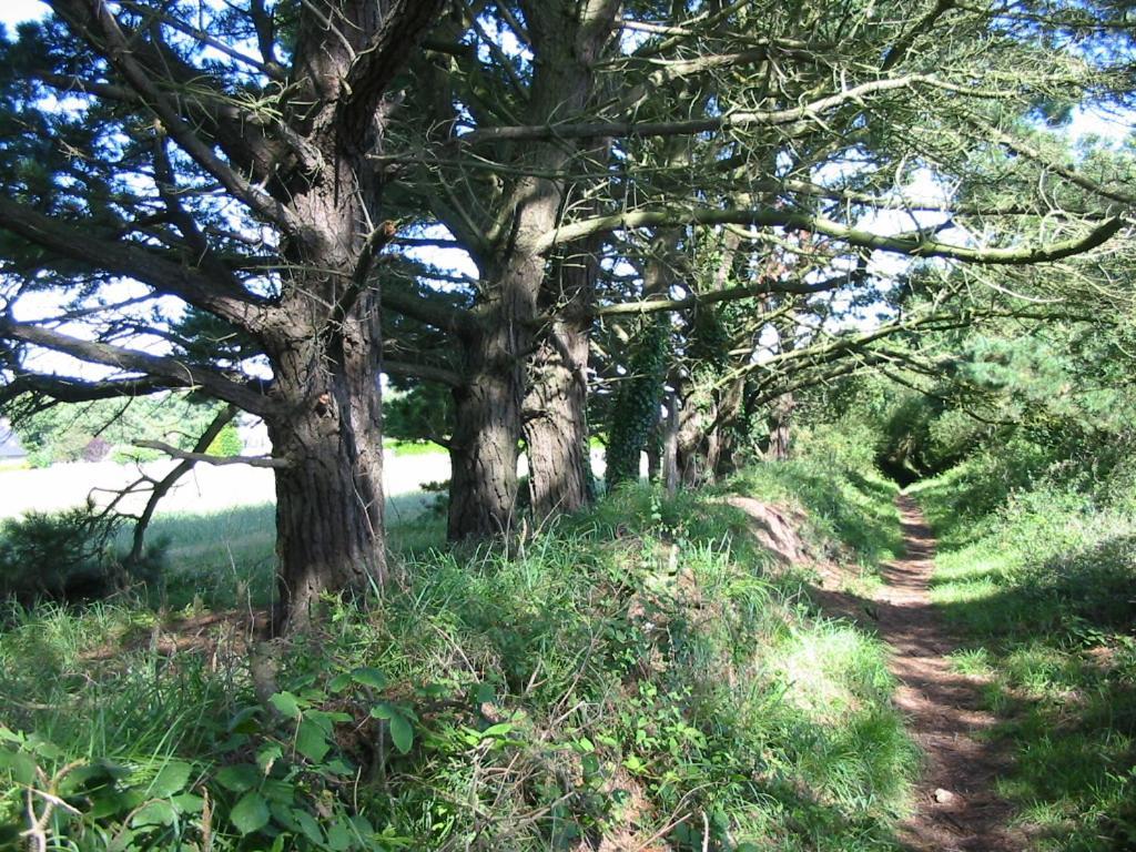 En Bretagne, De 2 à 8 Pers , Meublé De Tourisme 3 étoiles Nichée Dans Un écrin De Verdure à 2500m De La Hébergement de vacances