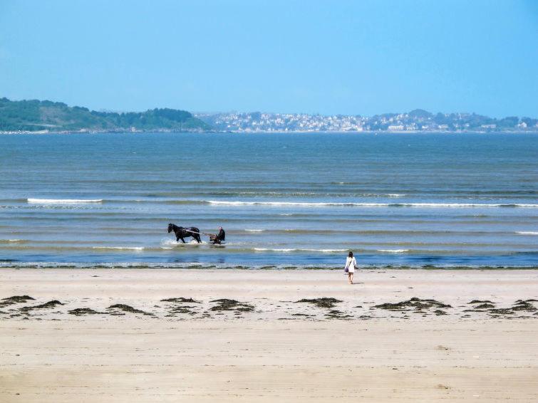 En Bretagne, De 2 à 8 Pers , Meublé De Tourisme 3 étoiles Nichée Dans Un écrin De Verdure à 2500m De La